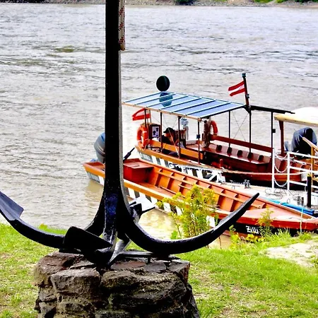 Smile Zum Goldenen Strauss *