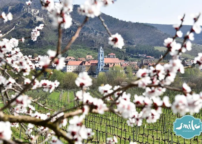 Smile Zum Goldenen Strauss *